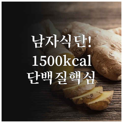 남자 다이어트 식단표 1500kcal..