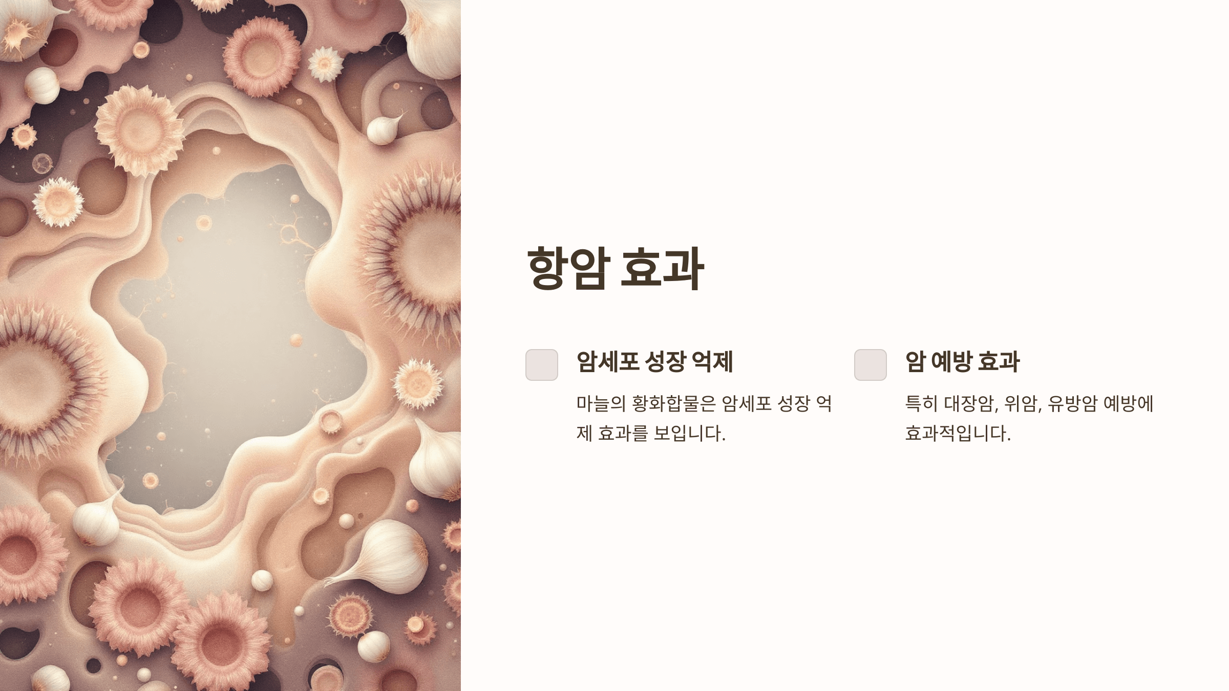 마늘 사진입니다.