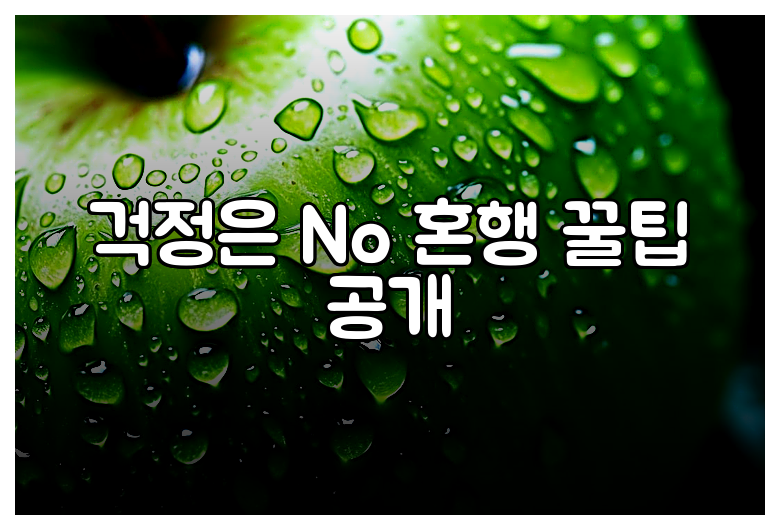 걱정은 No 혼행 꿀팁 공개