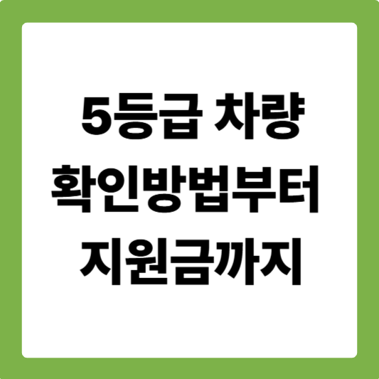 5등급 차량 확인방법부터 지원금까지