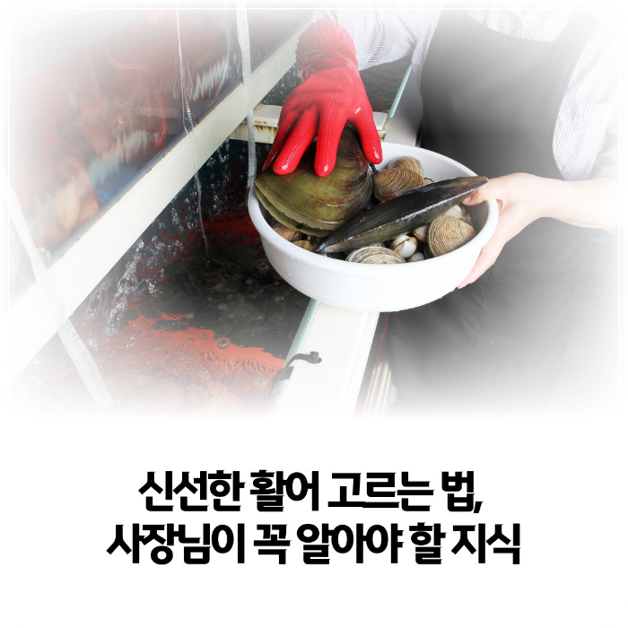 신선한-활어-고르는 법