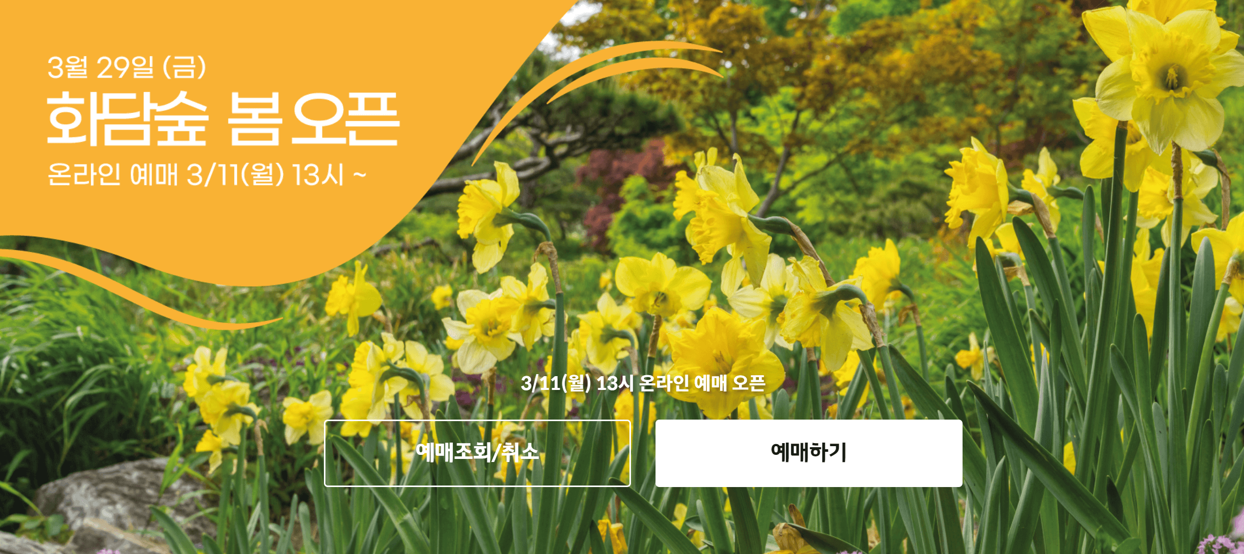 화담숲 봄오픈