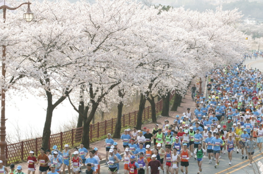 제주 마라톤 대회 일정