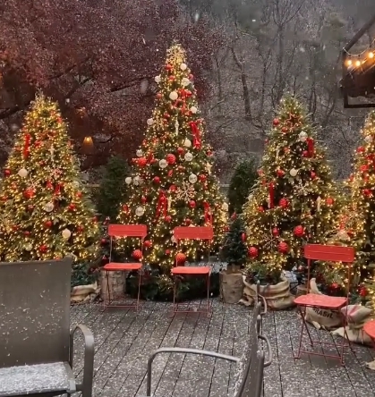 크리스마스/분위기/핫플/카페