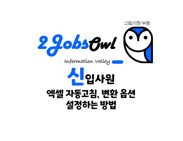 엑셀 입력한 문자 자동고침, 자동변환 옵션 설정하는 방법