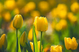 2025년 기초연금 수급자격 총정리