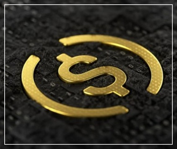 스테이블코인 안정성을 위한 알고리즘과 담보형의 장단점 가이드