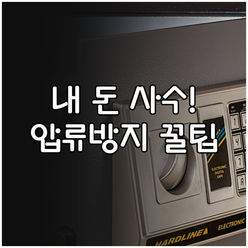 압류방지계좌 체크카드 사용 및 실생활..
