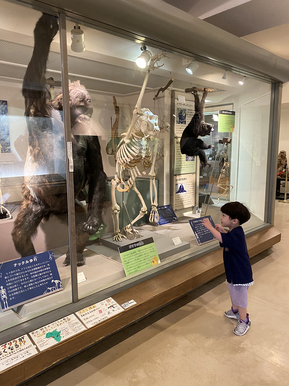 이누야마몽키센터