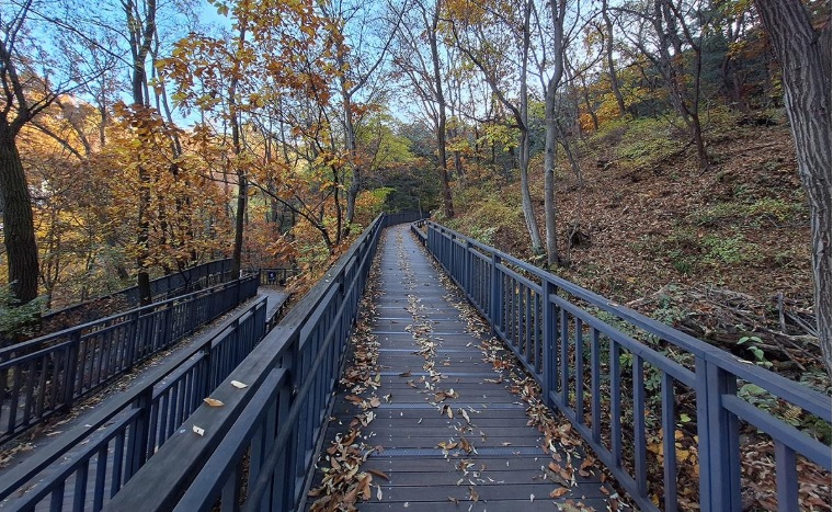 용마산 스카이워크 전망대 코스