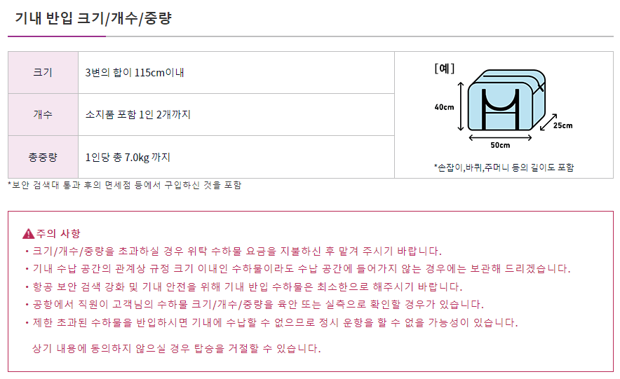 기내반입-수하물