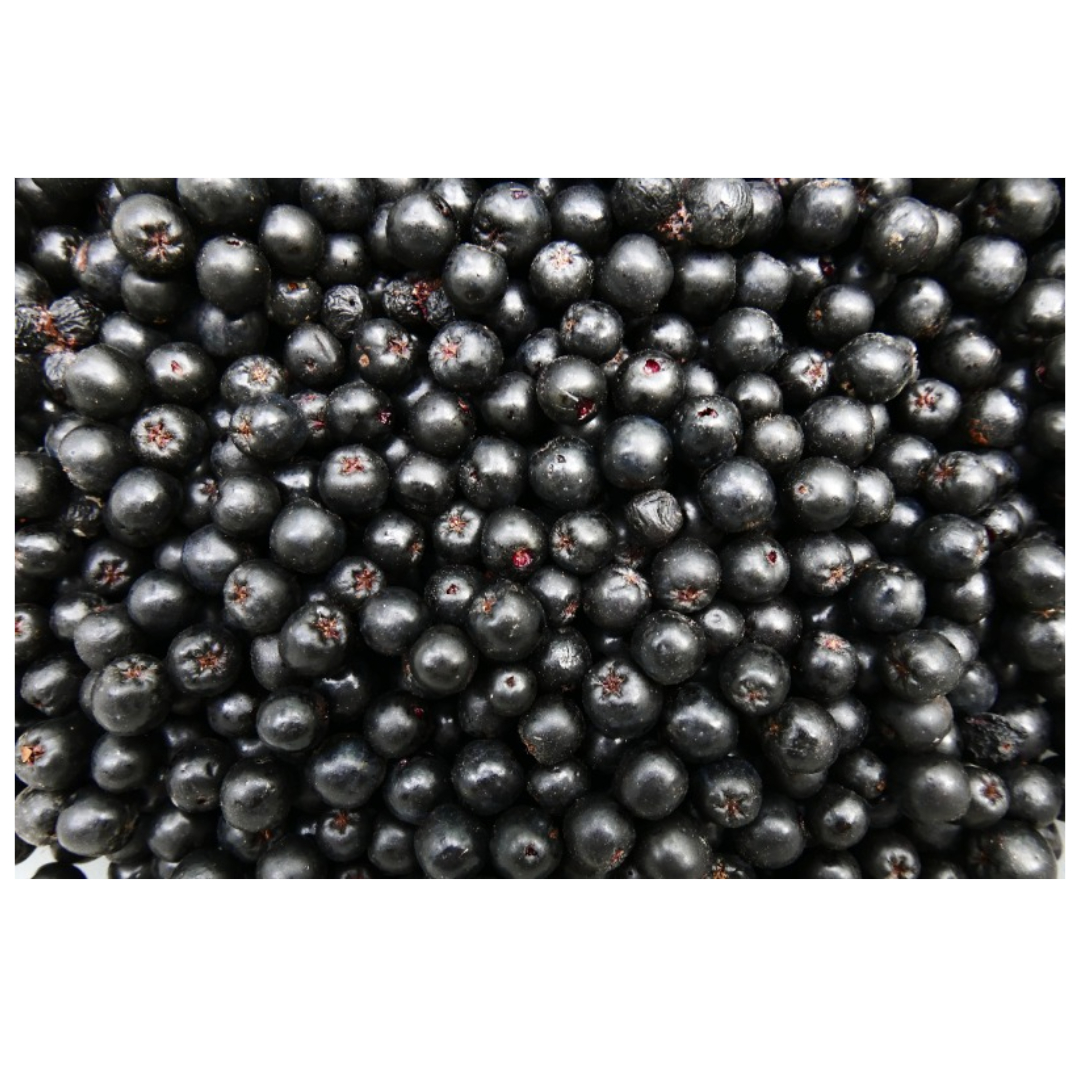 아로니아와 관련된 사진입니다.