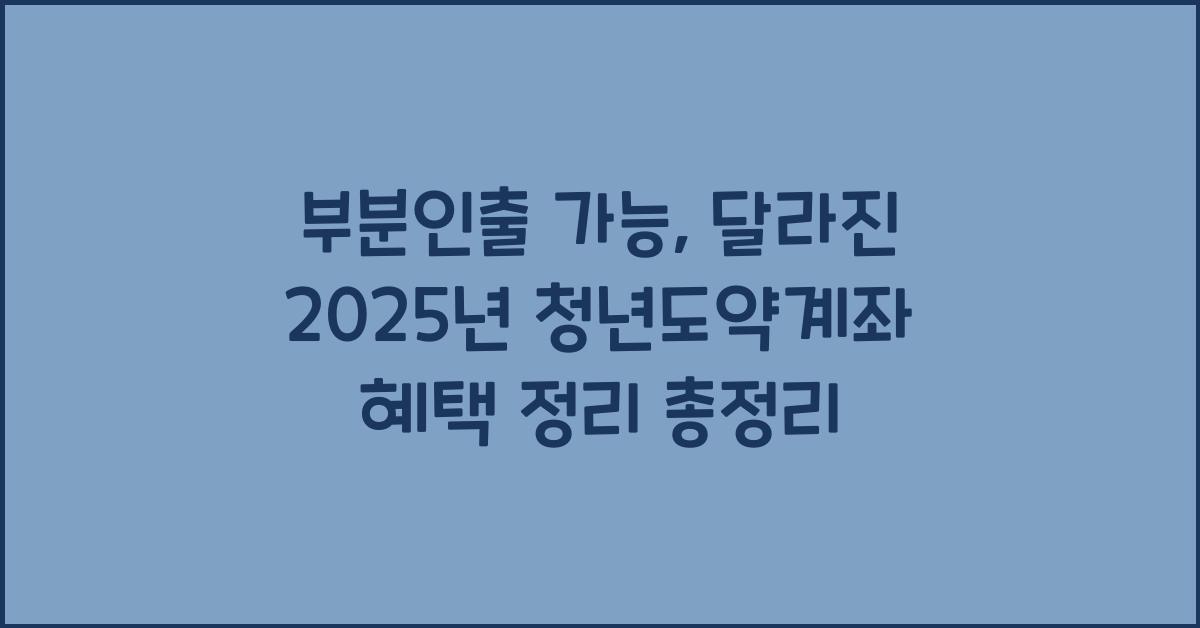 부분인출 가능, 달라진 2025년 청년도약계좌 혜택 정리