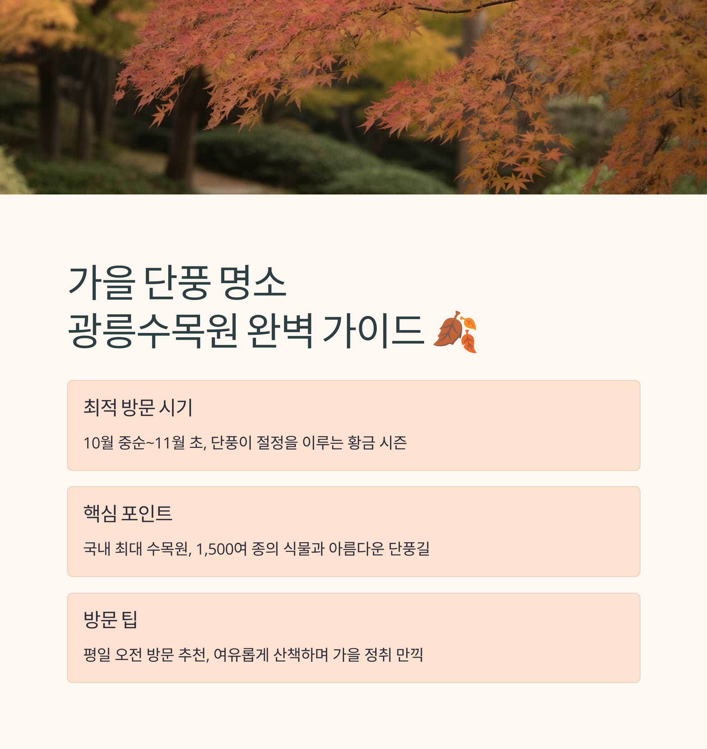 가을 단풍 명소, 광릉수목원 완벽 가이드