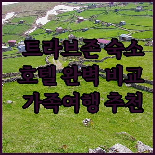 트라브존 여행, 어디에서 묵을까? 트..