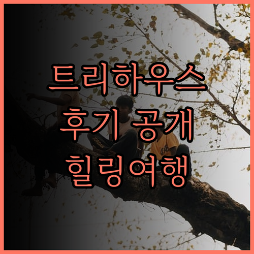 Tree House 137 숙소, 골