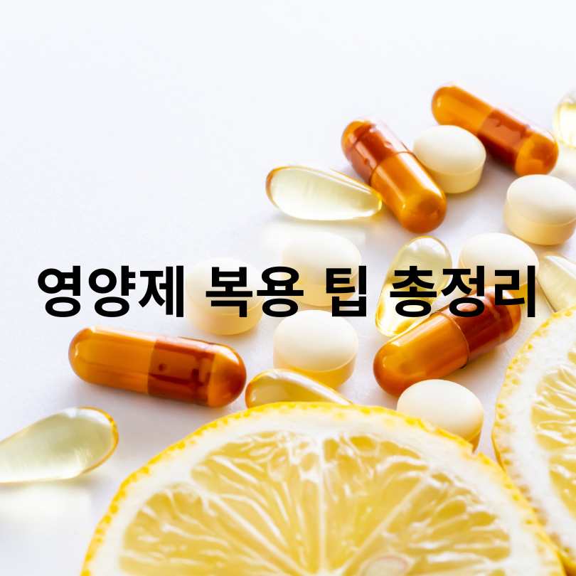영양제 먹는 순서와 시간