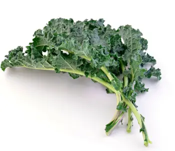 글루타치온이 많이 들어있는 음식 BEST 10