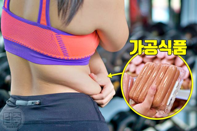 부위별 살찌는 이유 승마살 팔뚝살 뱃살 옆구리살 등살