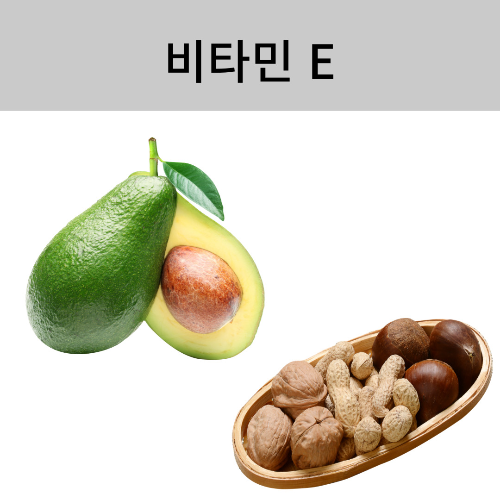 비타민 E