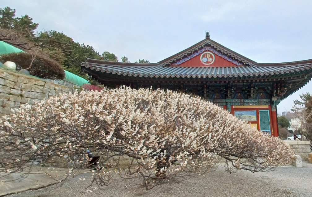 창원 청연암