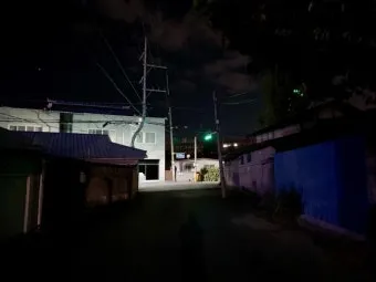 초저조도 식물 추천 빛부족집 관리요령 물주기간격 식물등활용_31