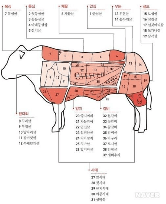소고기 부위별 명칭과 용도