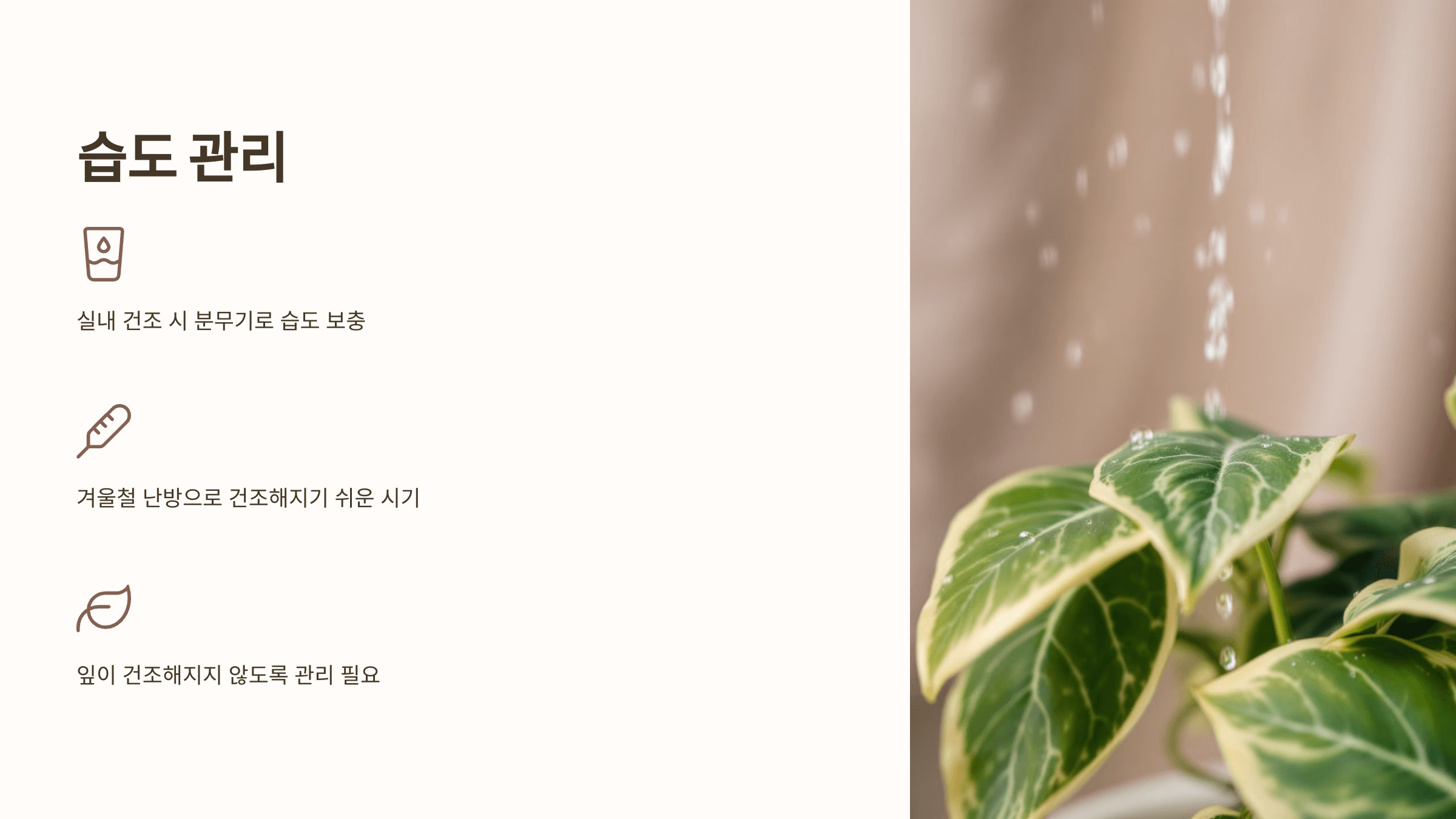 스킨답서스와 관련된 사진입니다.