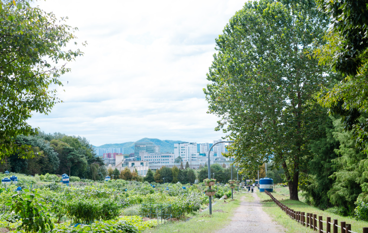 수원탑동시민농장6