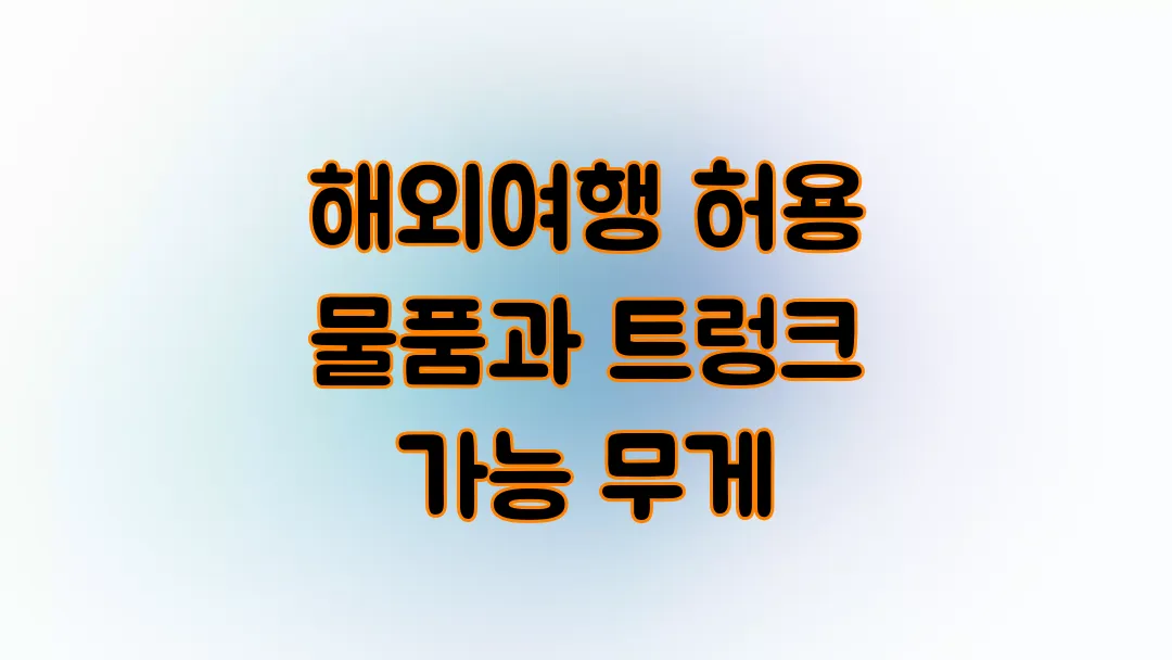 해외여행 위탁수화물 허용 물품과 트렁크 가능 무게