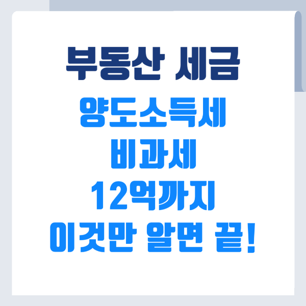 부동산세금-양도소득세 비과세