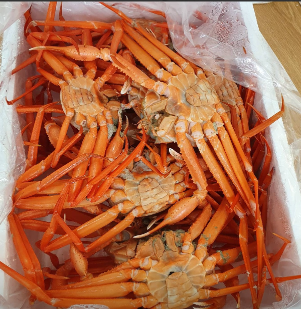감동수산