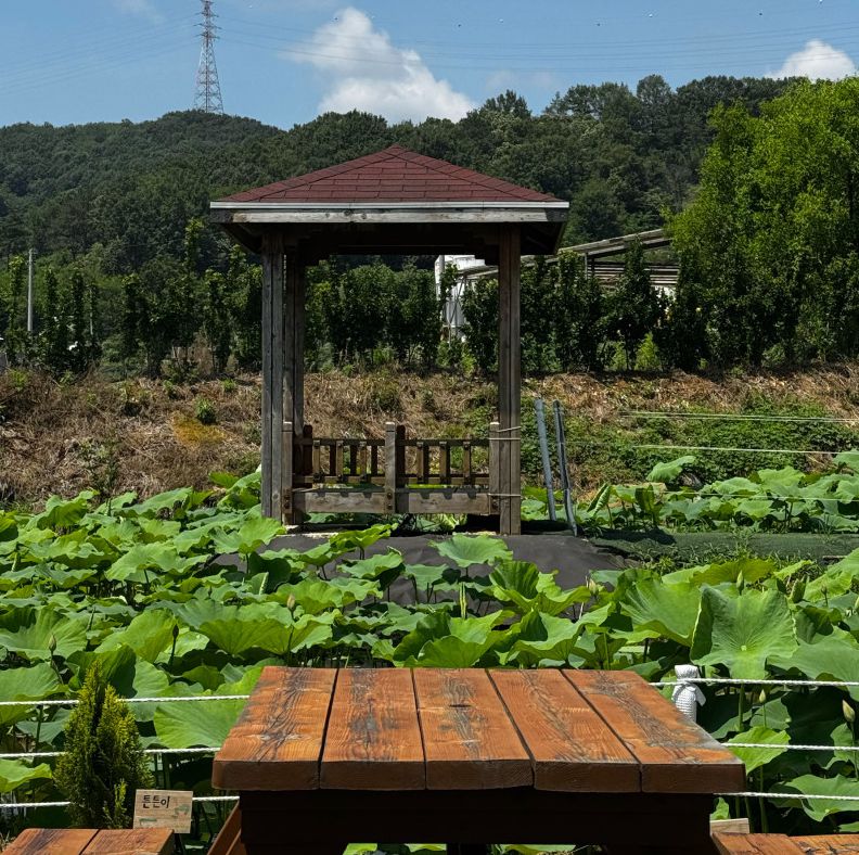 연의하루 체험농장