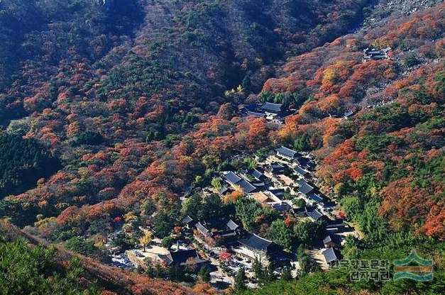 부산31