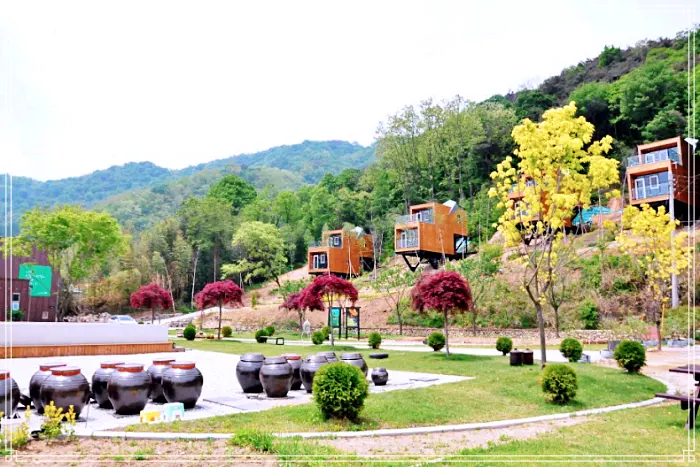 생방송 오늘저녁 가볼만한 곳, 거창 디저트 카페, 유기농 복분자, 블랙베리, 블루베리, 산딸기, 아로니아 빙수, 젤라또, 스무디 맛집