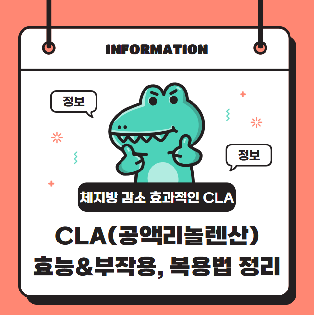 체지방 감소에 효과적인 CLA(공액리놀렌산) 효능&부작용, 복용법 정리