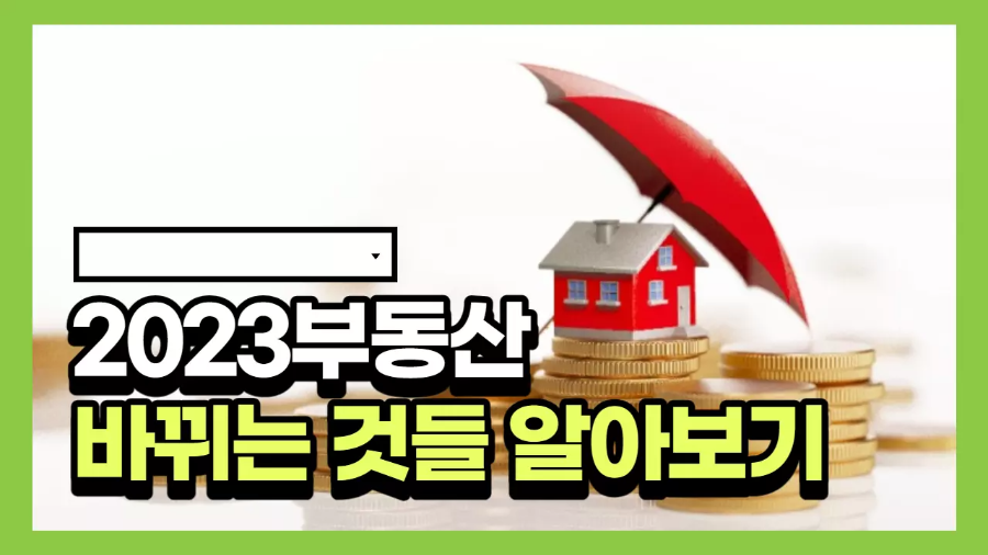 동전위의-집이있는-썸네일