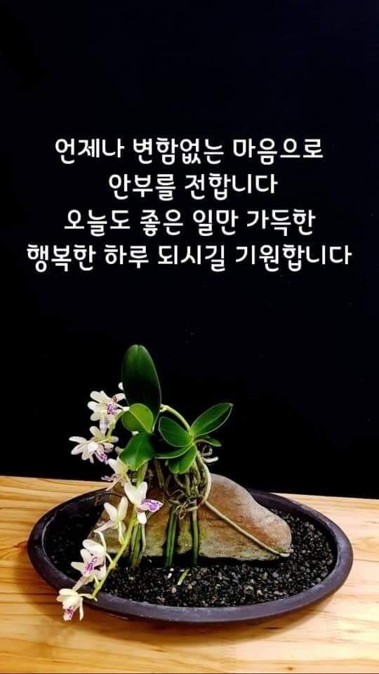아침인사로-좋은-글귀-아침인사-이쁜글-이미지-다운로드