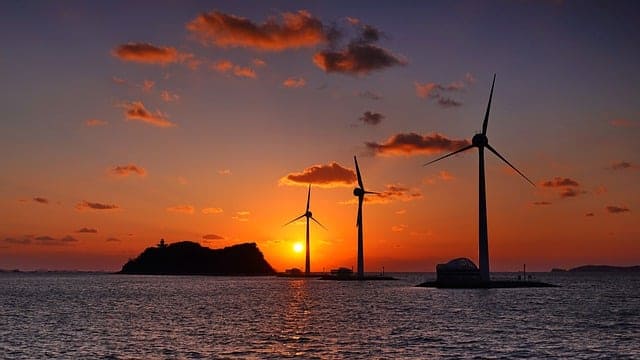 시현하다 홍대점