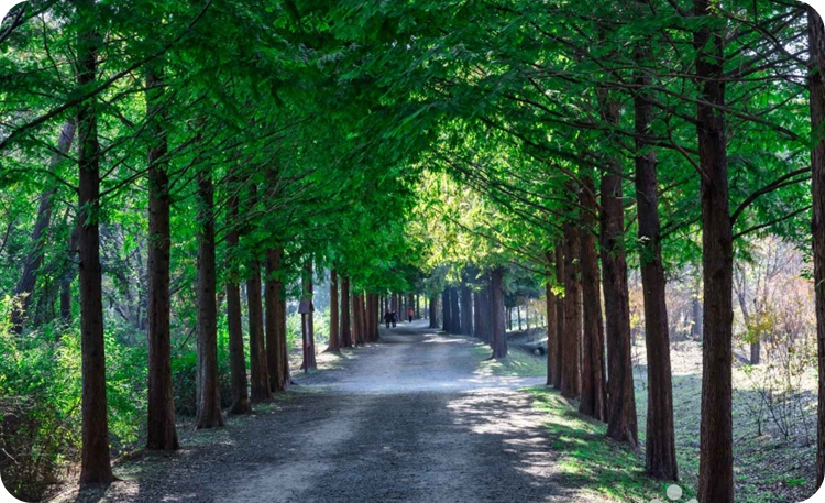 인천대공원 이미지
출처: 한국관광공사