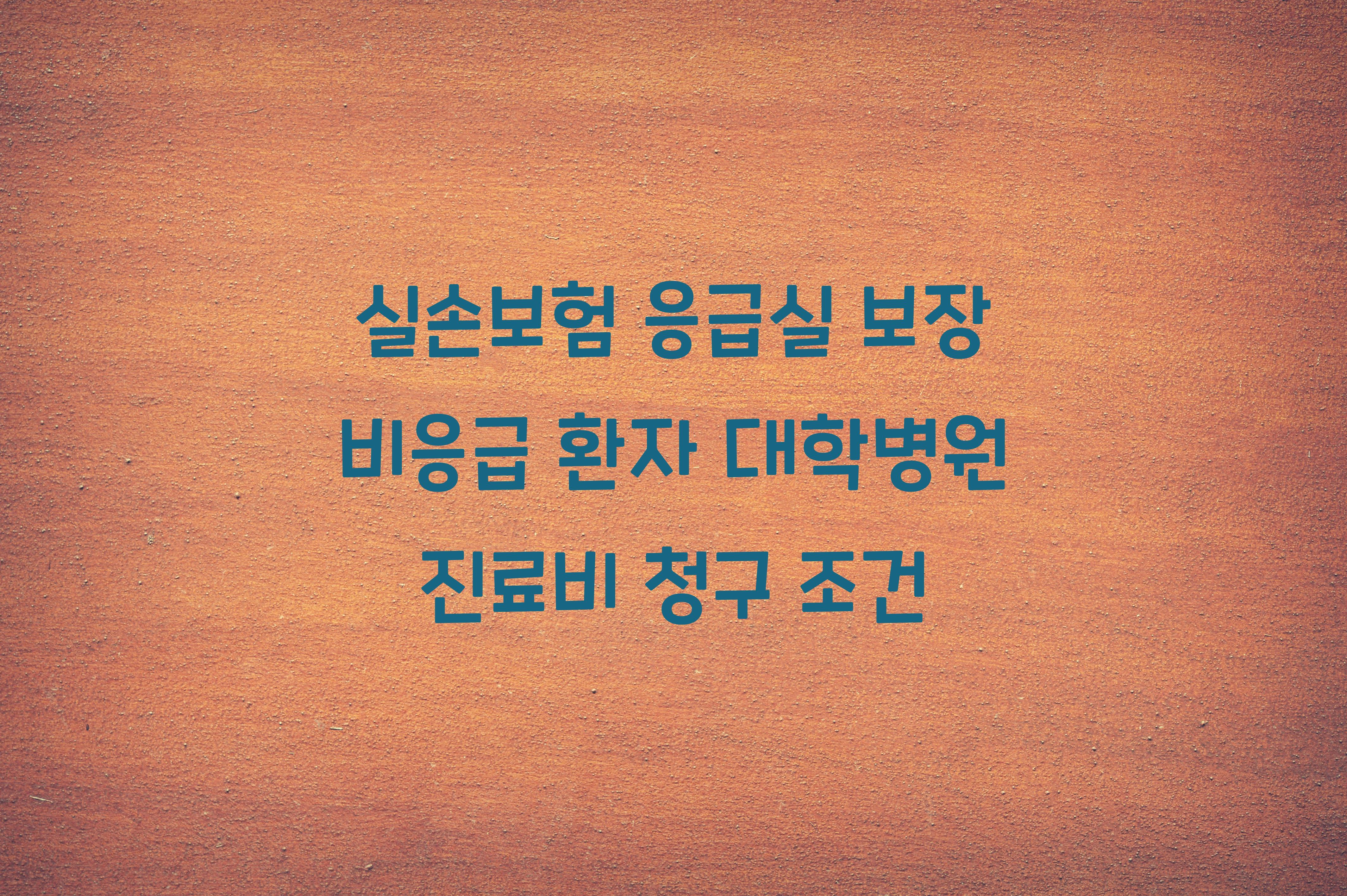 실손보험 응급실 보장