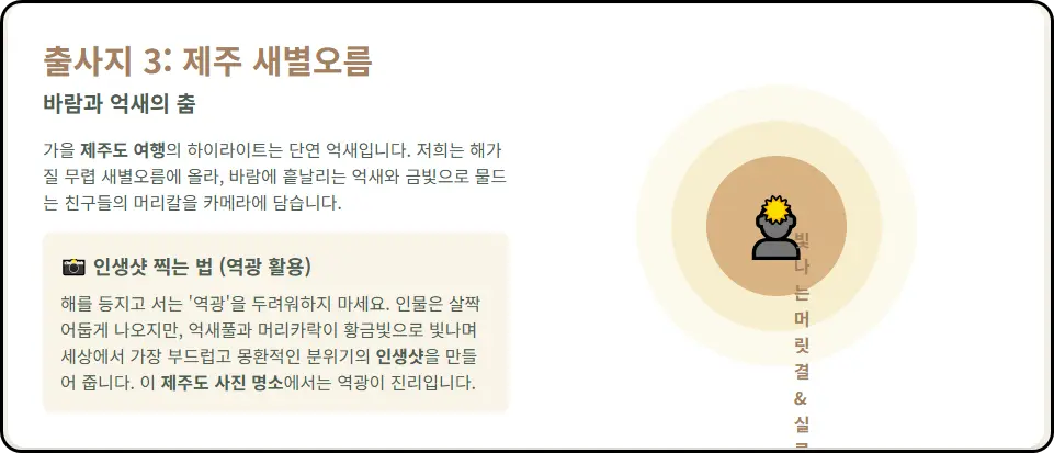 제주 새별오름: 불과 재생의 은빛 들판