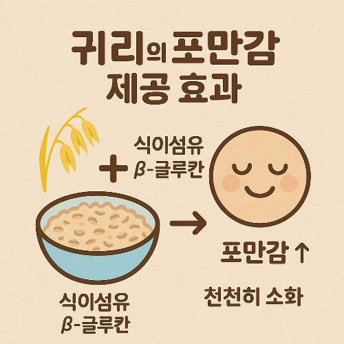 귀리의 포만감 효과를 나타낸 인포그래픽