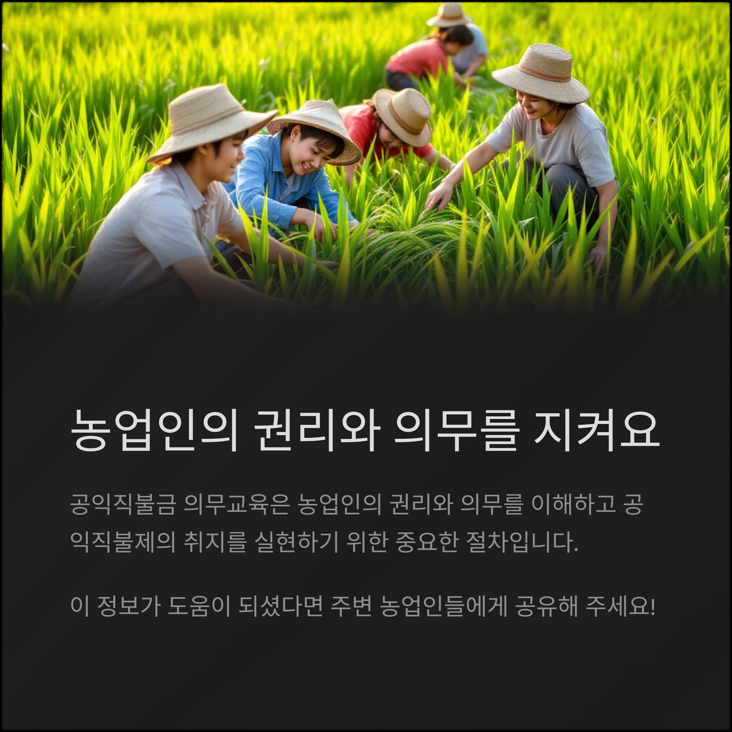 공익직불금 의무교육, 온라인으로 간편하게 이수하는 방법 총정리