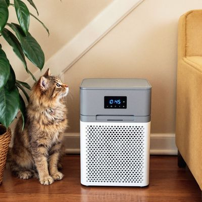 반려동물 있는 집에서 공기청정기 배치 요령1