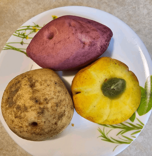 생방송오늘저녁 구황작물 3종세트 강원도 평창 농부네 빵집 정보 및 택배 주문 방법