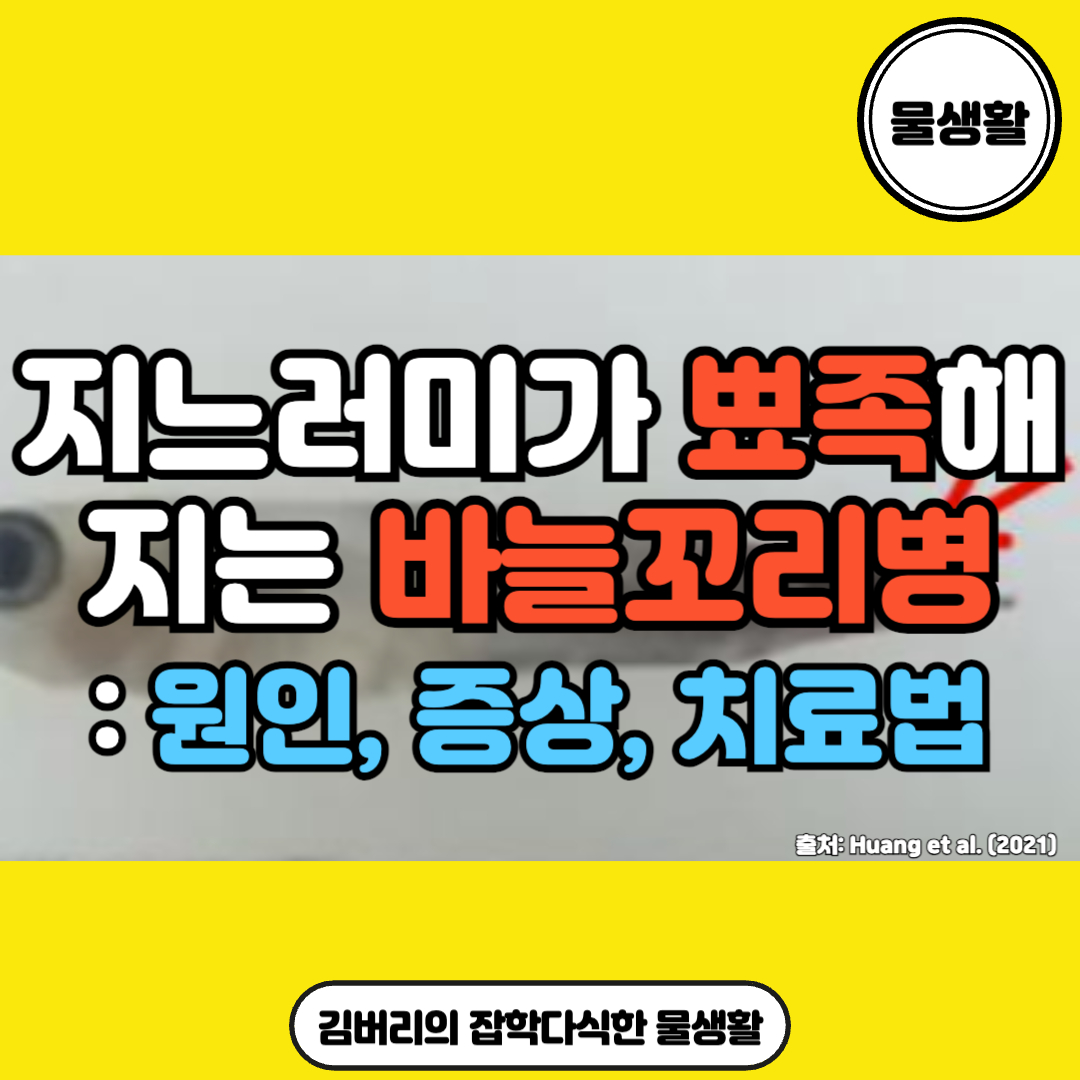 바늘꼬리병
