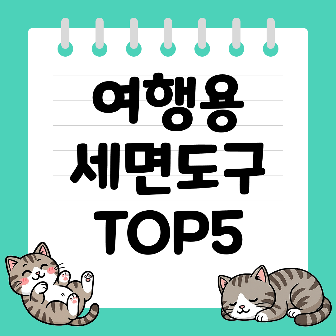 기내용 반입 가능한 여행용 세면도구 추천 순위 TOP5