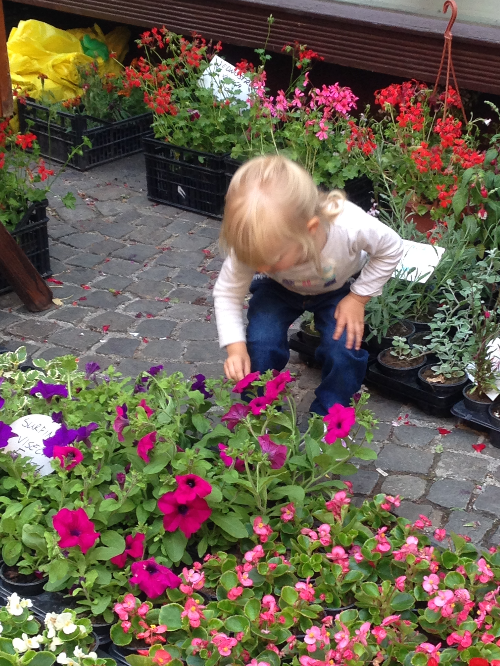 크로아티아 여행 정보