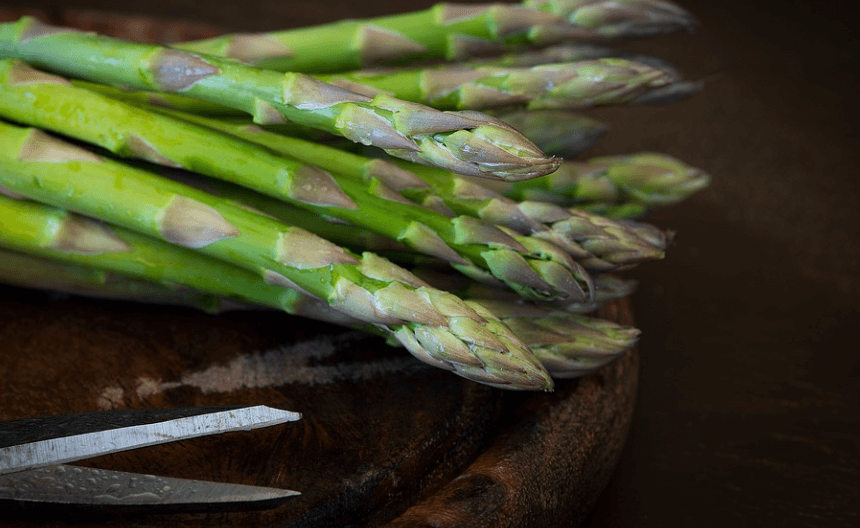 활성산소 제거 음식 아스파라거스 여러 개가 놓여 있다